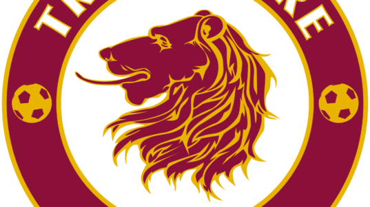 LogoTrastevereCalcio senza data (6)