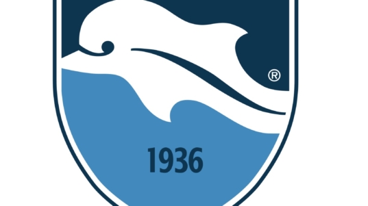 LOGO DELFINO PESCARA