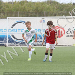 IMG_7822 copia